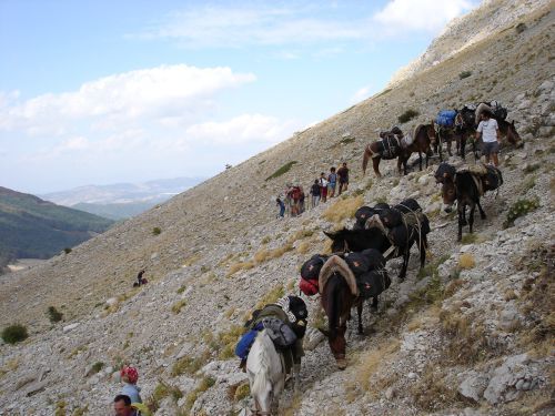 trekking con i muli-24.jpg